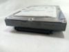 Picture of SCSI 80PIN 73GB 3.5" SCA 80 Maxtor ATLAS 10K V 3.5 INCH HARD DRIVE HDD